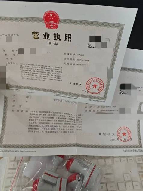 注册代理,商务代理代办服务,信息咨询服务
